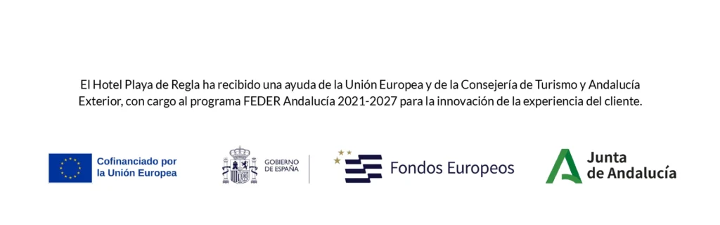 Banner web